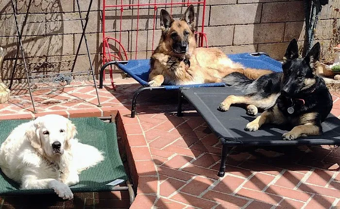 Camarillo Veterinary Hospital Picture 10