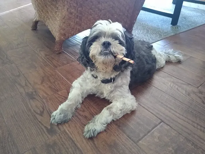 Camarillo Veterinary Hospital Picture 9