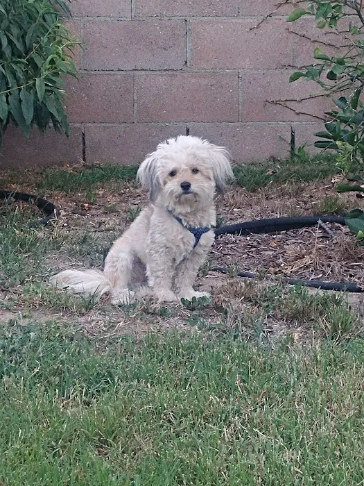 Pleasant Valley Animal Hospital Picture 1