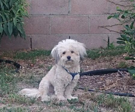 Pleasant Valley Animal Hospital