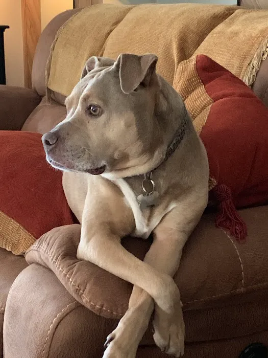 Pleasant Valley Animal Hospital Picture 3