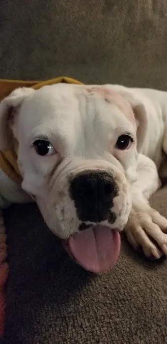 Pleasant Valley Animal Hospital Picture 2