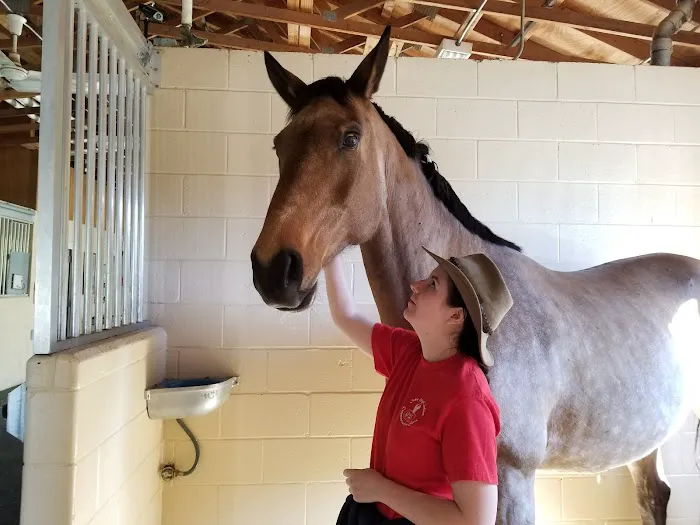 West Coast Equine Picture 6