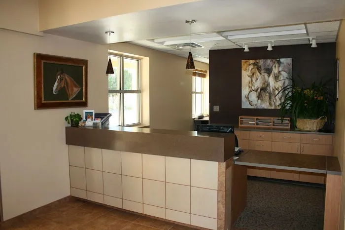 West Coast Equine Picture 10