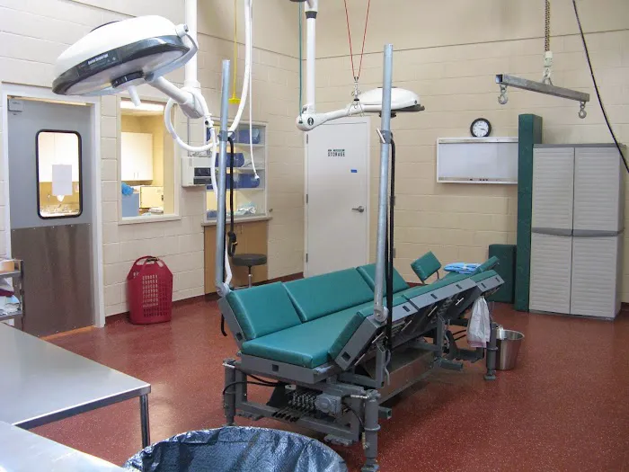 West Coast Equine Picture 7