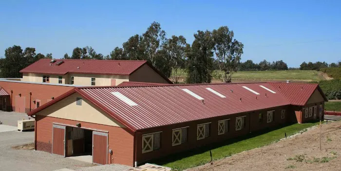 West Coast Equine Picture 8