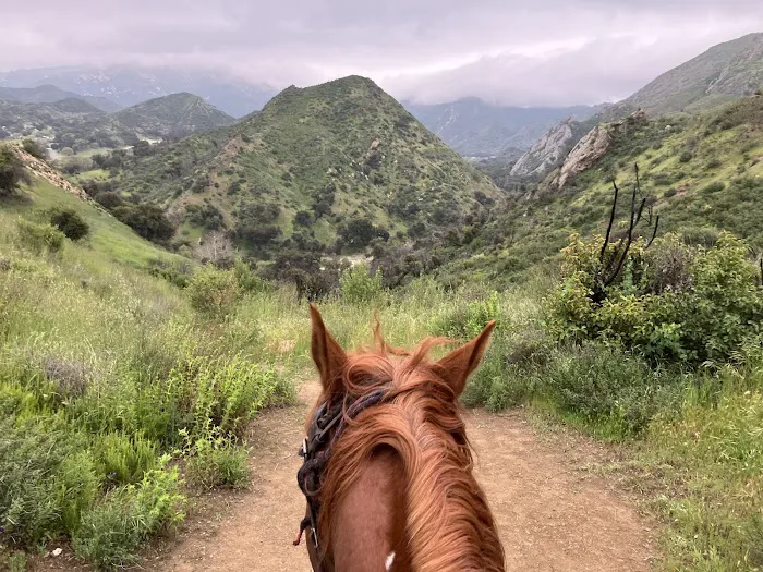 Humphrey Giacopuzzi & Associates Equine Hospital Picture 2