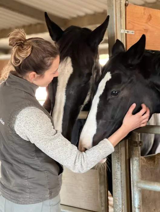 Progressive Equine Picture 1