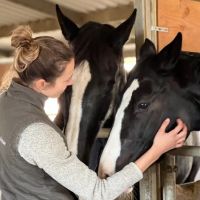 Progressive Equine ico