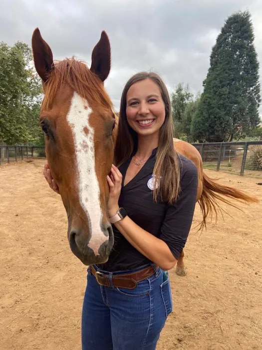 Progressive Equine Picture 2