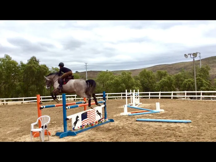 Progressive Equine Picture 4