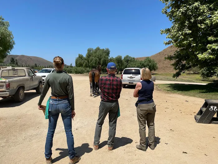 Progressive Equine Picture 6