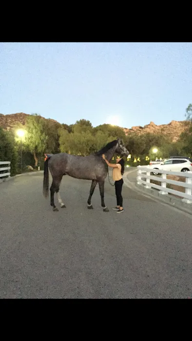 Progressive Equine Picture 7