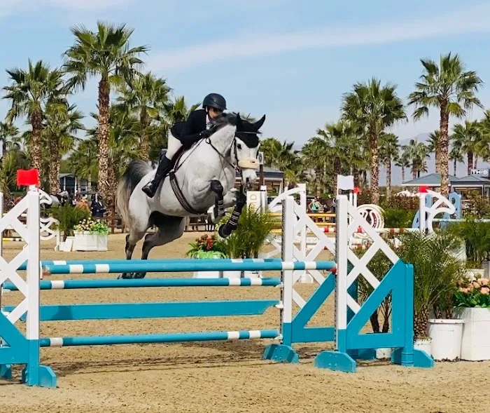 Progressive Equine Picture 9