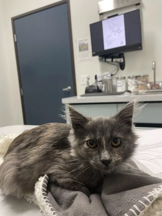 Las Posas Veterinary Medical Center Picture 1