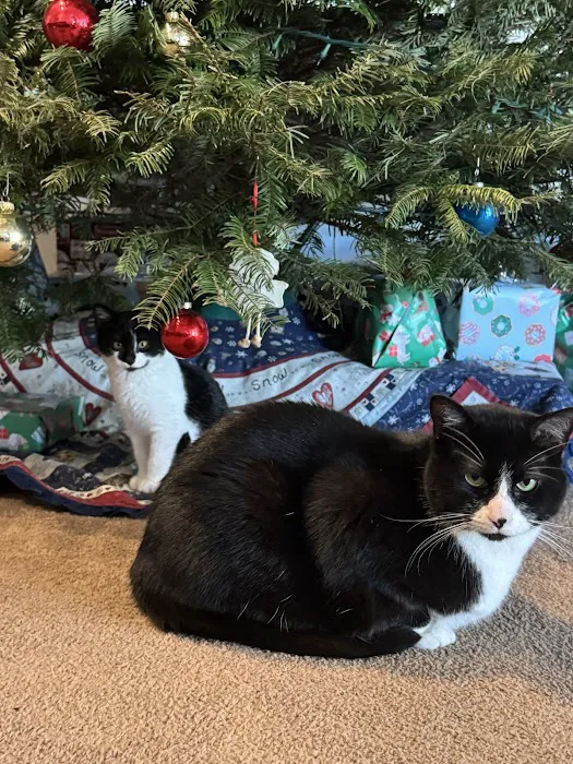 Las Posas Veterinary Medical Center Picture 2