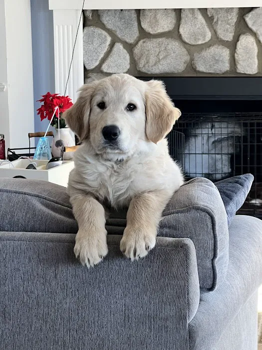 Las Posas Veterinary Medical Center Picture 6