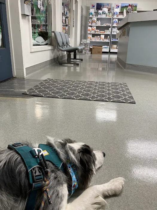 Las Posas Veterinary Medical Center Picture 3