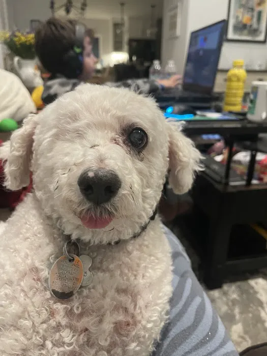 Las Posas Veterinary Medical Center Picture 8