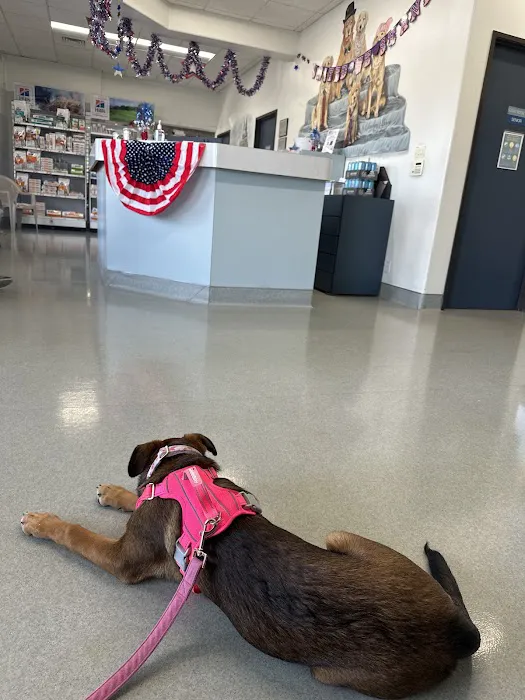 Las Posas Veterinary Medical Center Picture 7