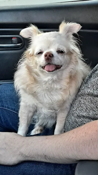 Las Posas Veterinary Medical Center Picture 10