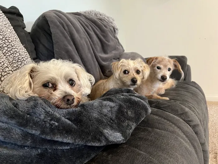 Las Posas Veterinary Medical Center Picture 9