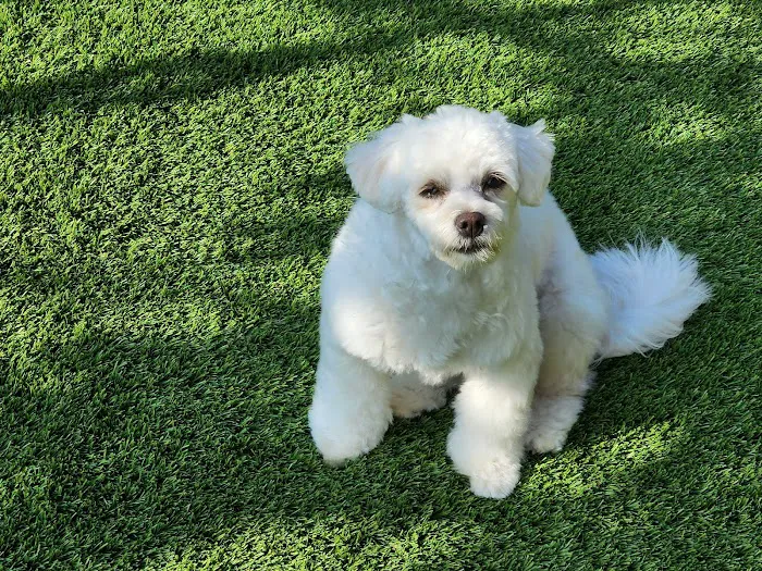 Valley Veterinary Clinic Picture 1