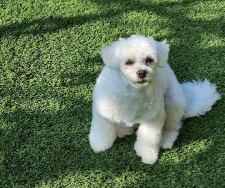 Valley Veterinary Clinic