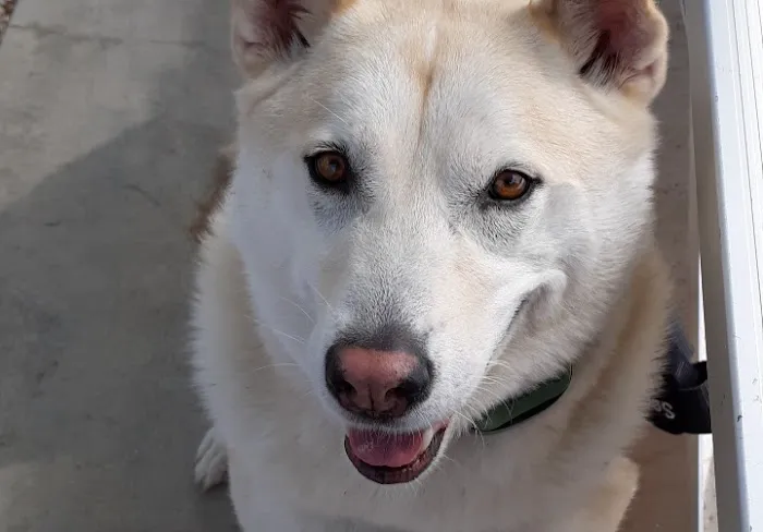 Valley Veterinary Clinic Picture 3