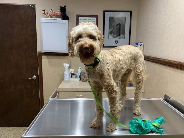 Valley Veterinary Clinic Picture 4