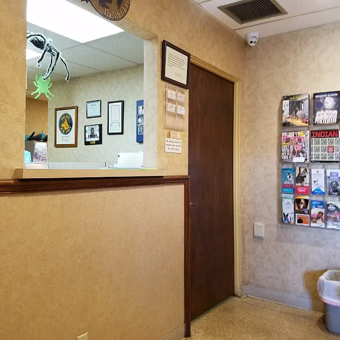 Valley Veterinary Clinic Picture 9