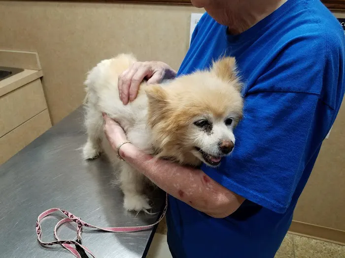 Valley Veterinary Clinic Picture 10