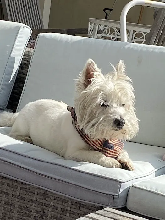 Valley Veterinary Clinic Picture 8