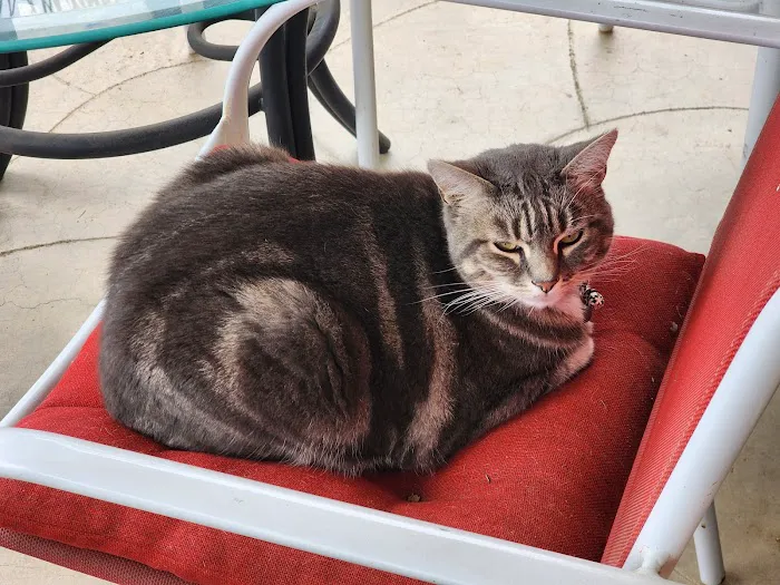 Valley Veterinary Clinic Picture 7