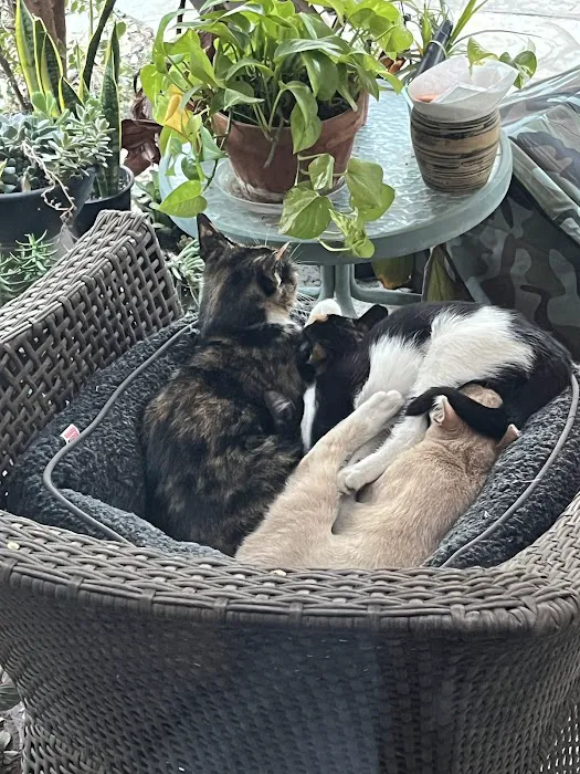 Simi Valley Non-Profit Spay and Neuter Clinic Picture 6