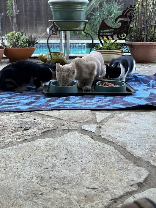 Simi Valley Non-Profit Spay and Neuter Clinic Picture 9