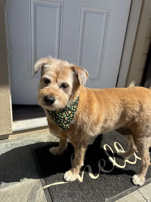 Angeles Animal Hospital Picture 3