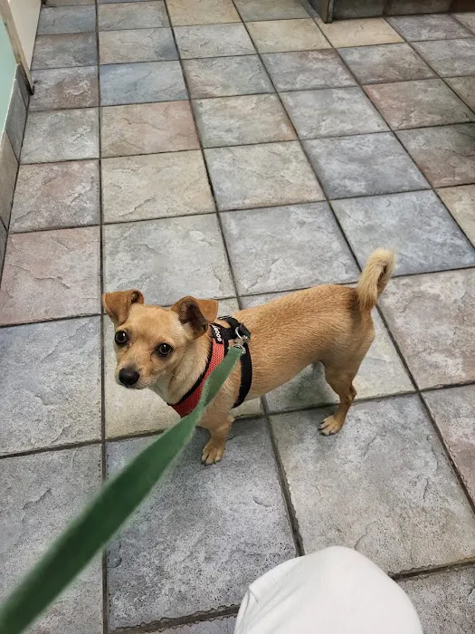 Angeles Animal Hospital Picture 2