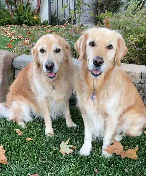 Angeles Animal Hospital Picture 4