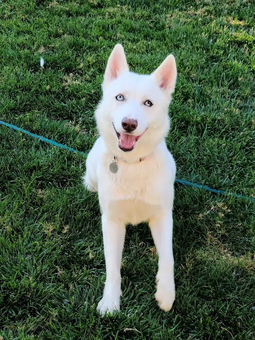 Angeles Animal Hospital Picture 5