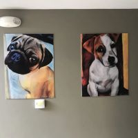 Dr. Ron's Animal Hospital ico