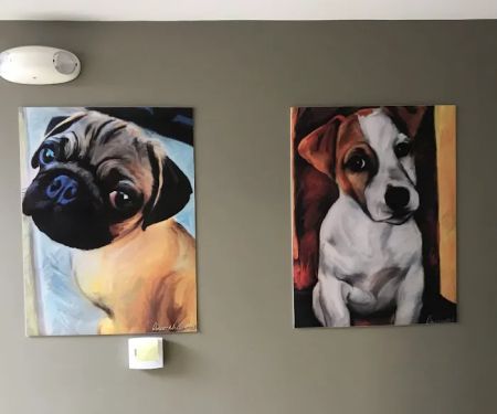 Dr. Ron's Animal Hospital