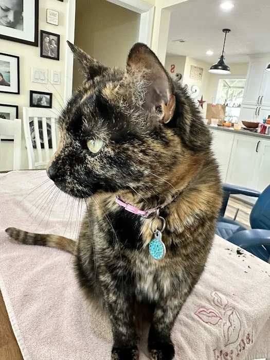 Dr. Ron's Animal Hospital Picture 7