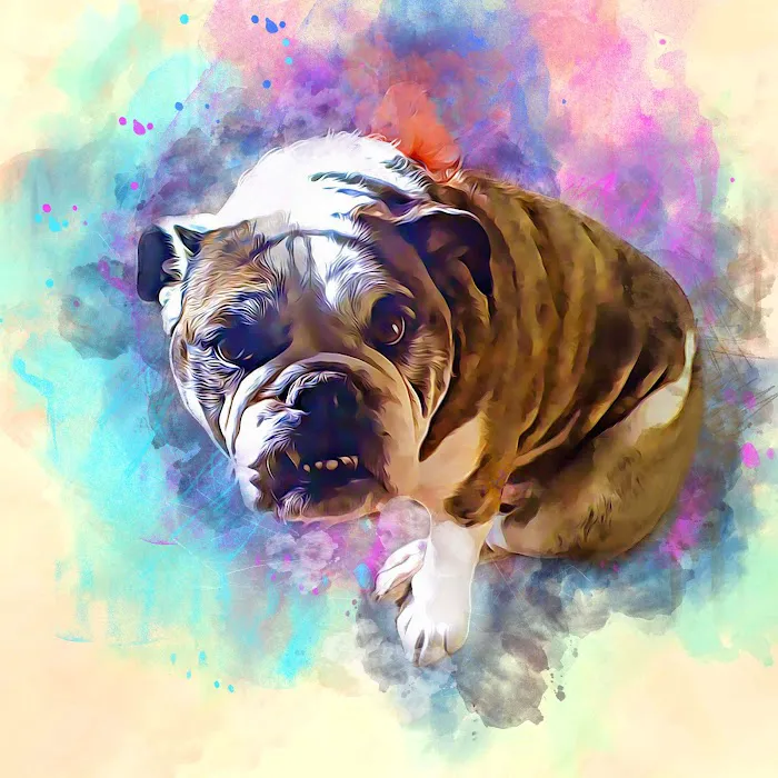 Dr. Ron's Animal Hospital Picture 6