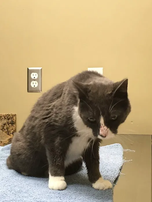 Dr. Ron's Animal Hospital Picture 8