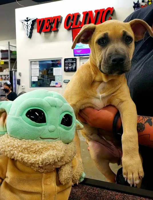 Pet Pawz-itive Picture 2