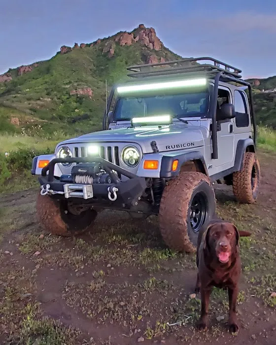 Pet Pawz-itive Picture 7