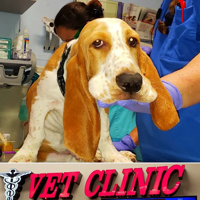 Pet Pawz-itive Picture 4