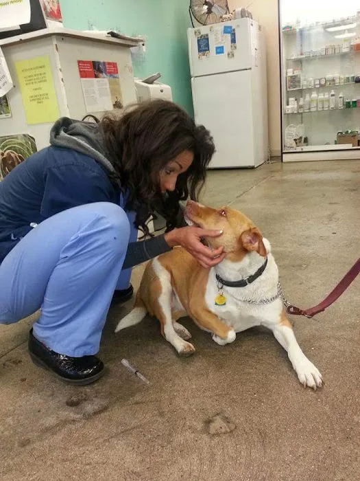 Pet Pawz-itive Picture 9