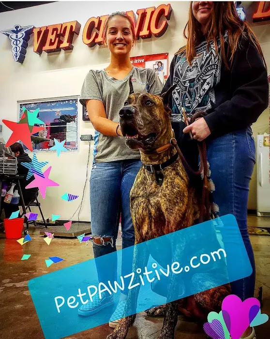 Pet Pawz-itive Picture 10